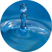 Công ty TNHH Công nghệ Dệt Tanh Tianhong, Ltd.