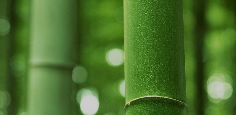 Công ty TNHH Công nghệ Dệt Tanh Tianhong, Ltd.